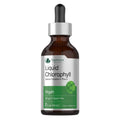 Liquid Chlorophyll Drops for Internal Freshness, Skin Health & Antioxidant Support – Peppermint Flavor