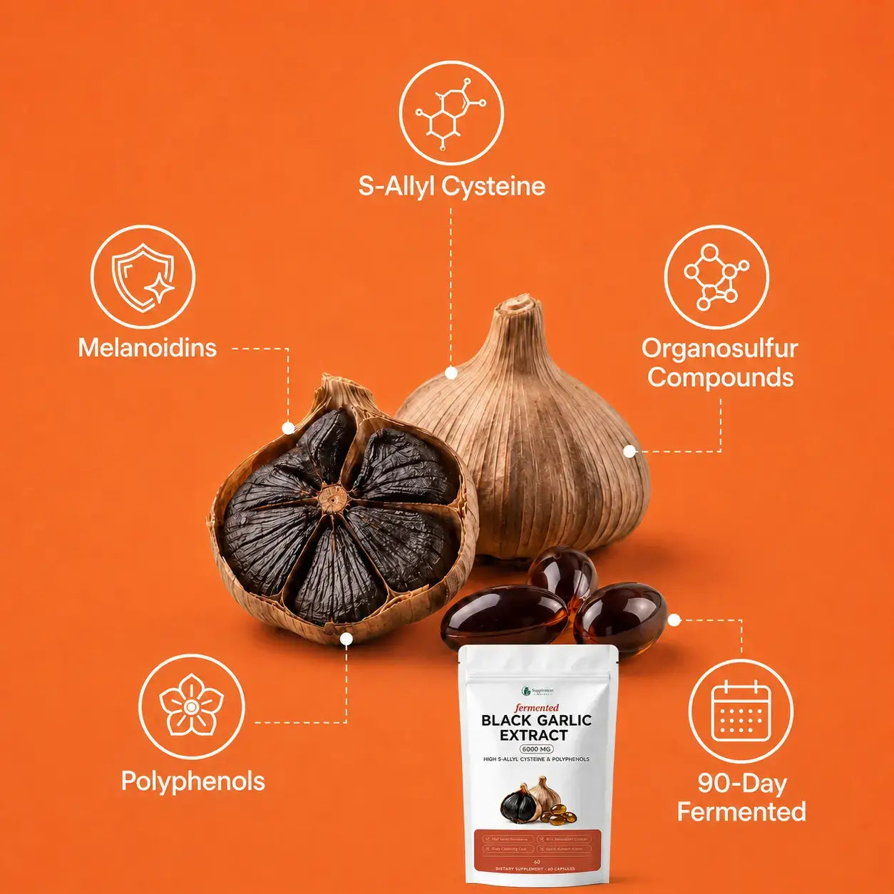 Fermented Black Garlic Extract for Digestive, Gut & Antioxidant Support