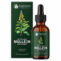 Mullein Liquid Drops with Chlorophyll – Support Clear Breathing, Lung Health & Respiratory Wellness