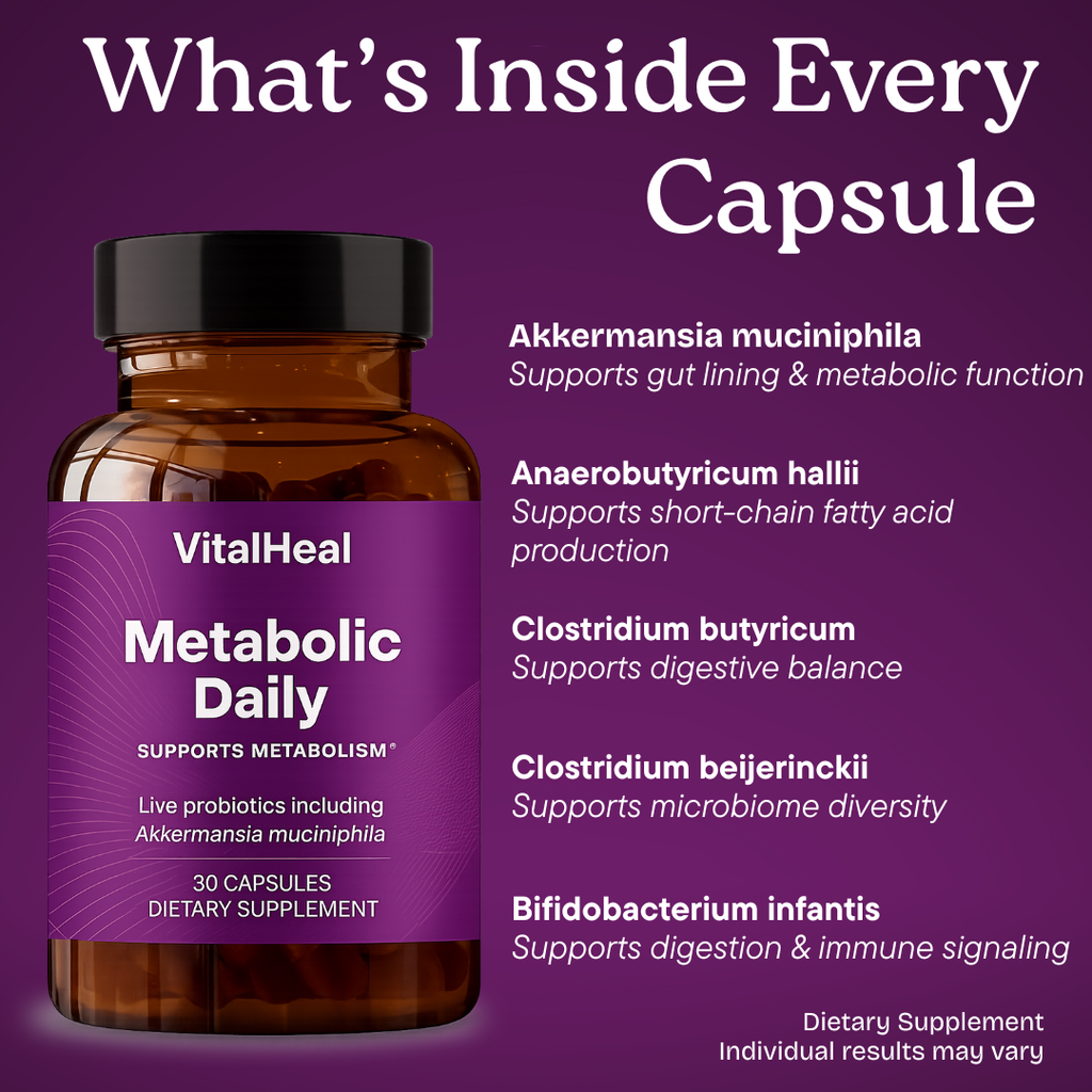 Metabolic Daily Probiotic with Akkermansia for Gut & Energy