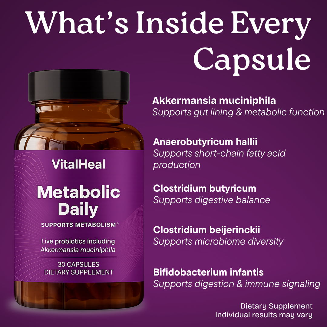 Metabolic Daily Probiotic with Akkermansia for Gut & Energy